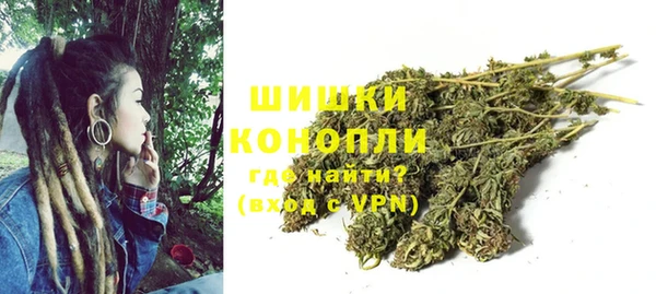 индика Киренск