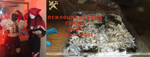 apvp Алексеевка