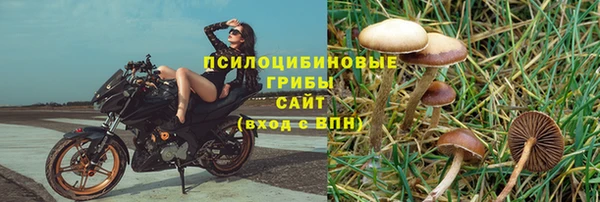 ГАЛЛЮЦИНОГЕННЫЕ ГРИБЫ Алексин